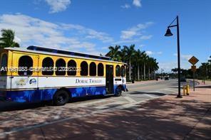 DOWNTOWN DORAL DUTCHER - Residential