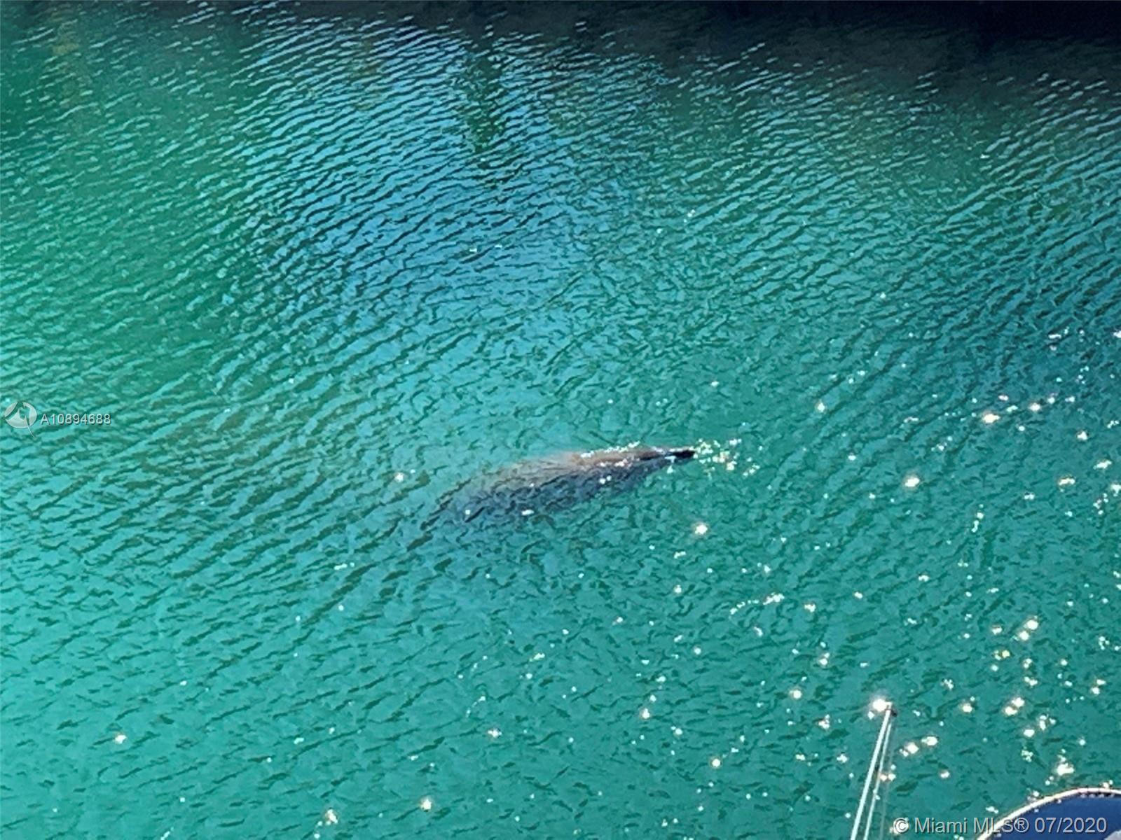 CRICKET CLUBHOUSE CONDO - Residential Lease