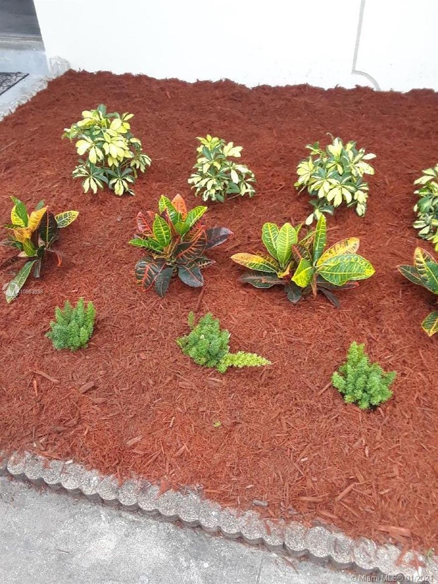 Professionally renovated Townhouse near the Hollywood Downtown District. Renovations includes, New plumbing, electrical panel, brand new modern bathrooms, kitchen, and wood style water proof vinyl floors. In other words, this unit is brand new. This townhouse is located in a family-oriented complex, close to the beach, shops and restaurants. **Available to move in right away** First, and 2 Security deposits needed. Easy approval process. Not pets !