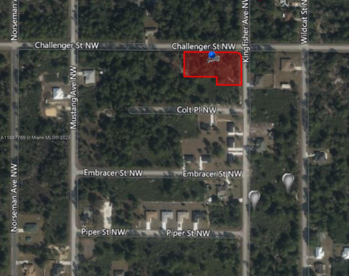 Rare opportunity for builders, investors, or future homeowners! This offering includes 4 adjacent lots on Challenger Street NW in the desirable area of Lake Placid. Perfect for a developer looking to build multiple homes or an investor planning for long-term growth. A great option as well for a future homeowner who wants extra space, privacy, or the flexibility to build later. Located in a peaceful and fast-growing residential area with access to schools, parks, and local amenities. Secure your piece of Florida now—land like this is getting harder to find!