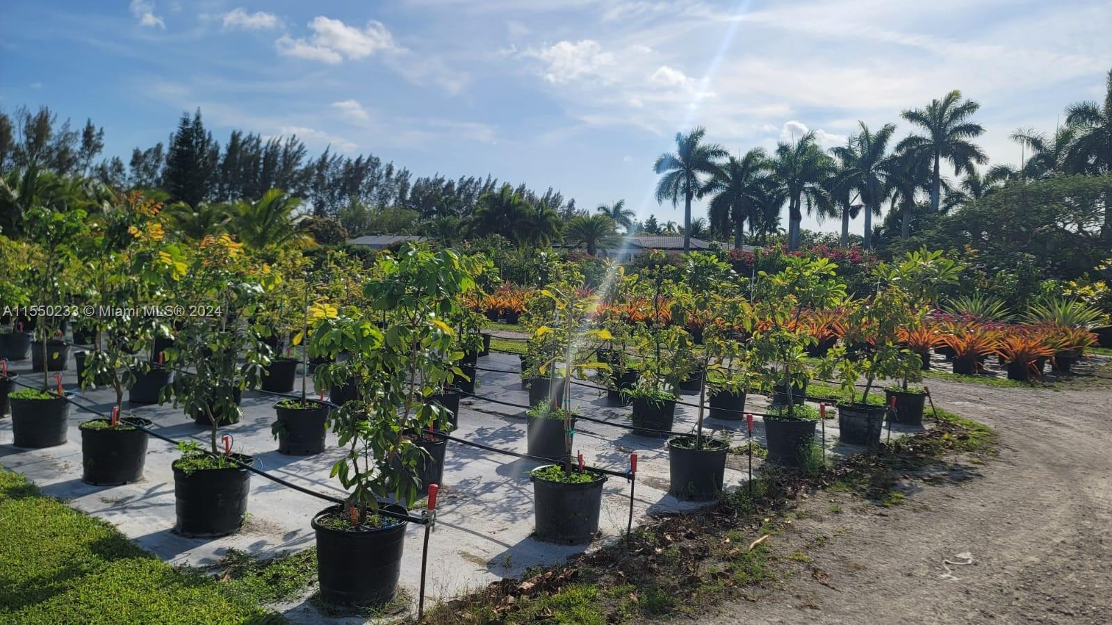 5 acres of land available for lease.