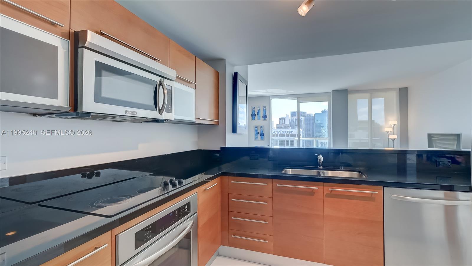 VIZCAYNE SOUTH CONDO - Residential