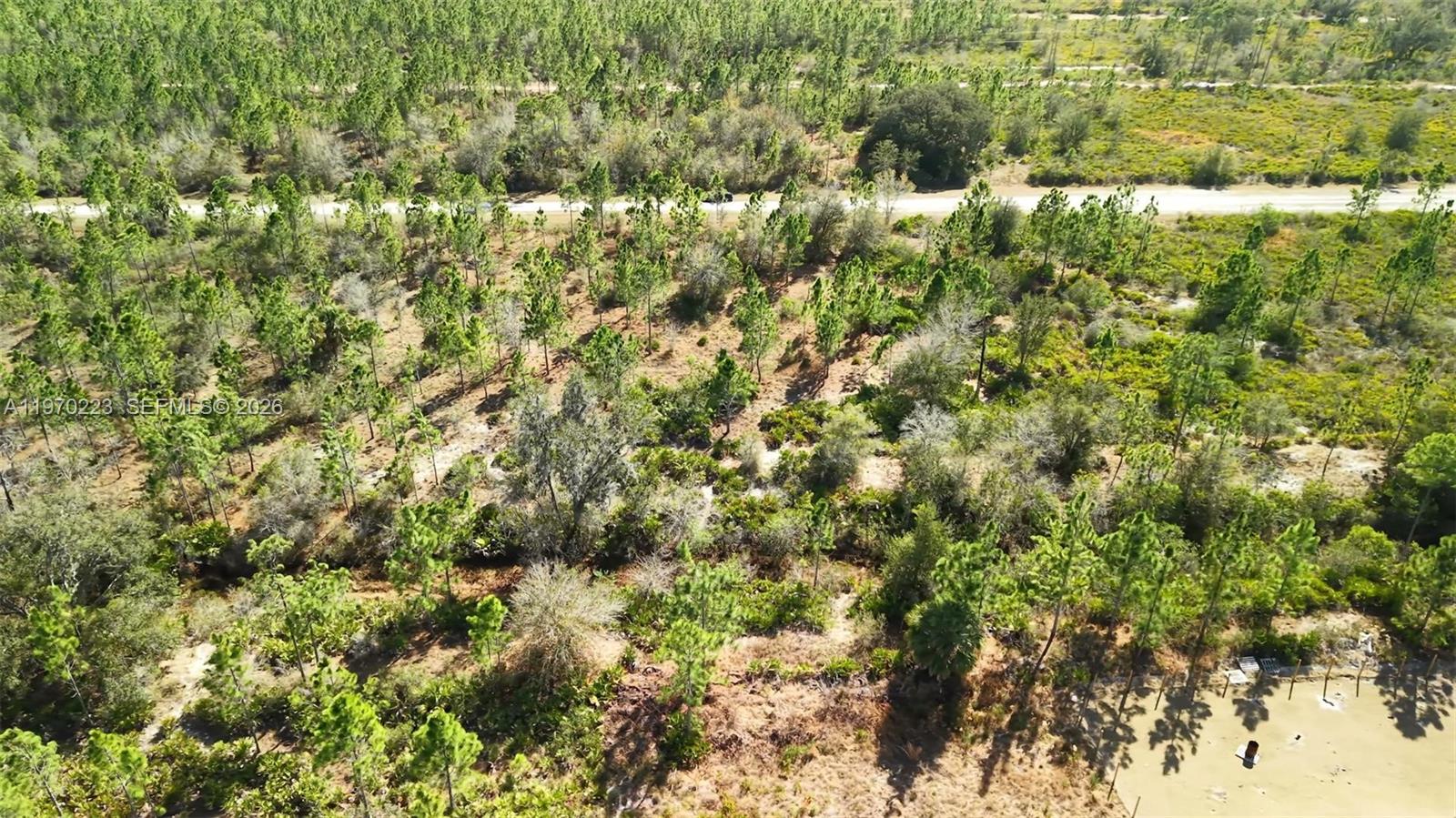 INDIAN LAKE ESTATES - Land