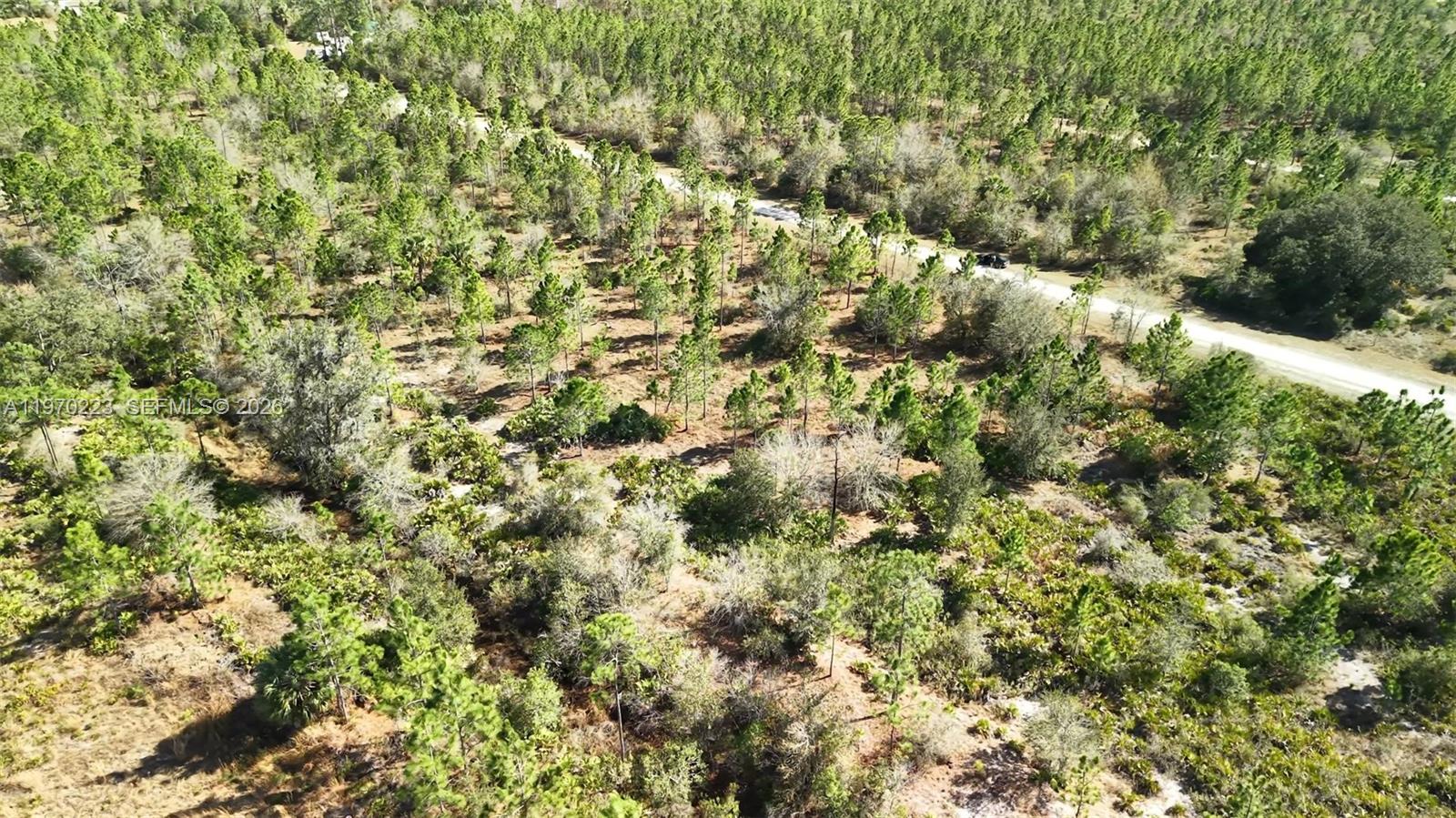 INDIAN LAKE ESTATES - Land