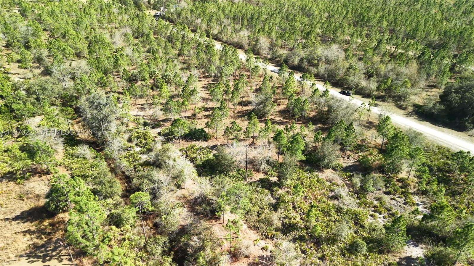 INDIAN LAKE ESTATES - Land