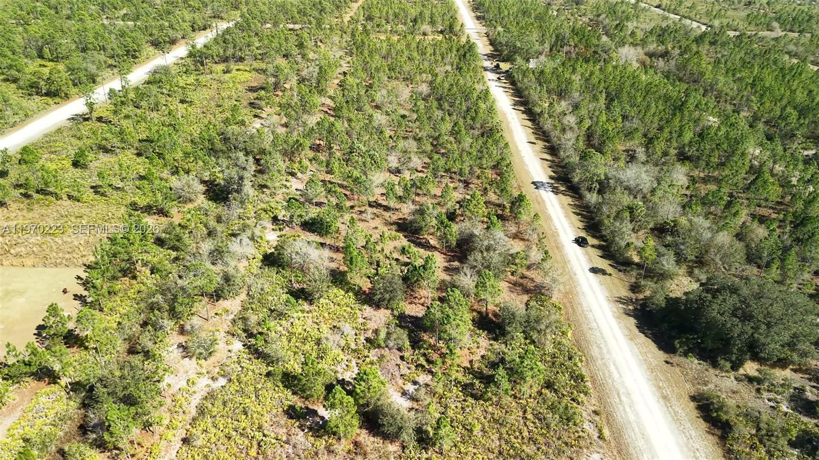 INDIAN LAKE ESTATES - Land