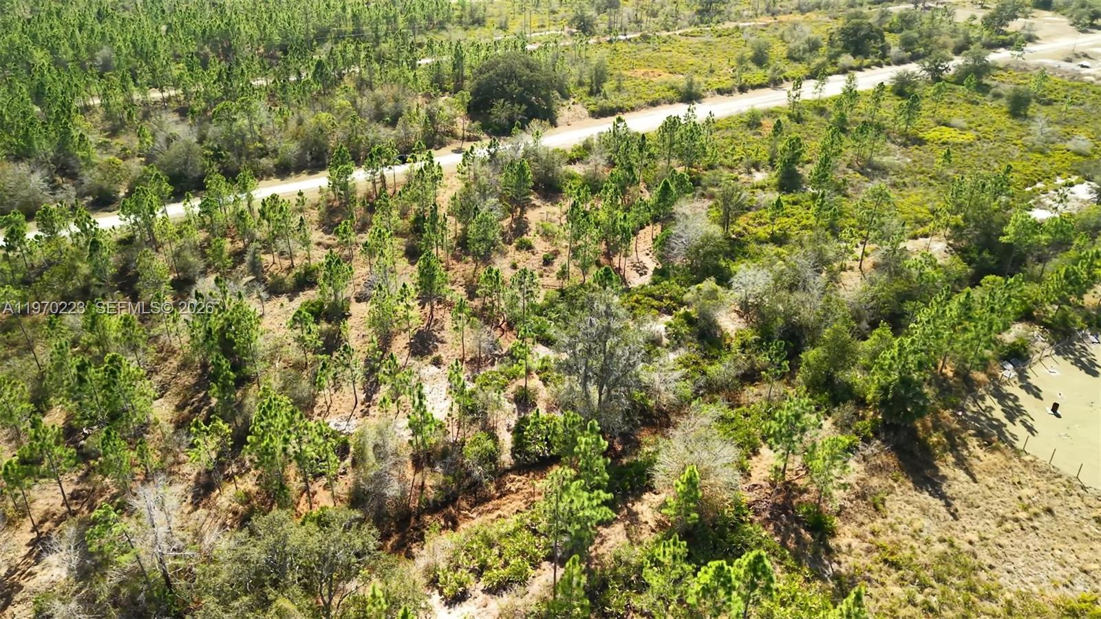 INDIAN LAKE ESTATES - Land