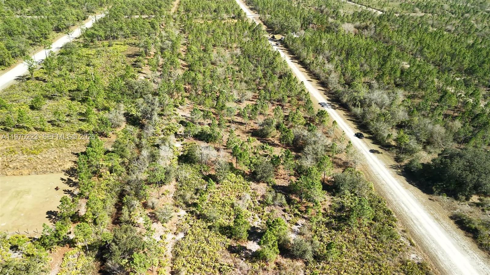 INDIAN LAKE ESTATES - Land