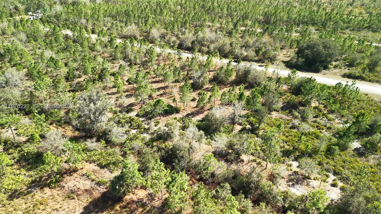 INDIAN LAKE ESTATES - Land