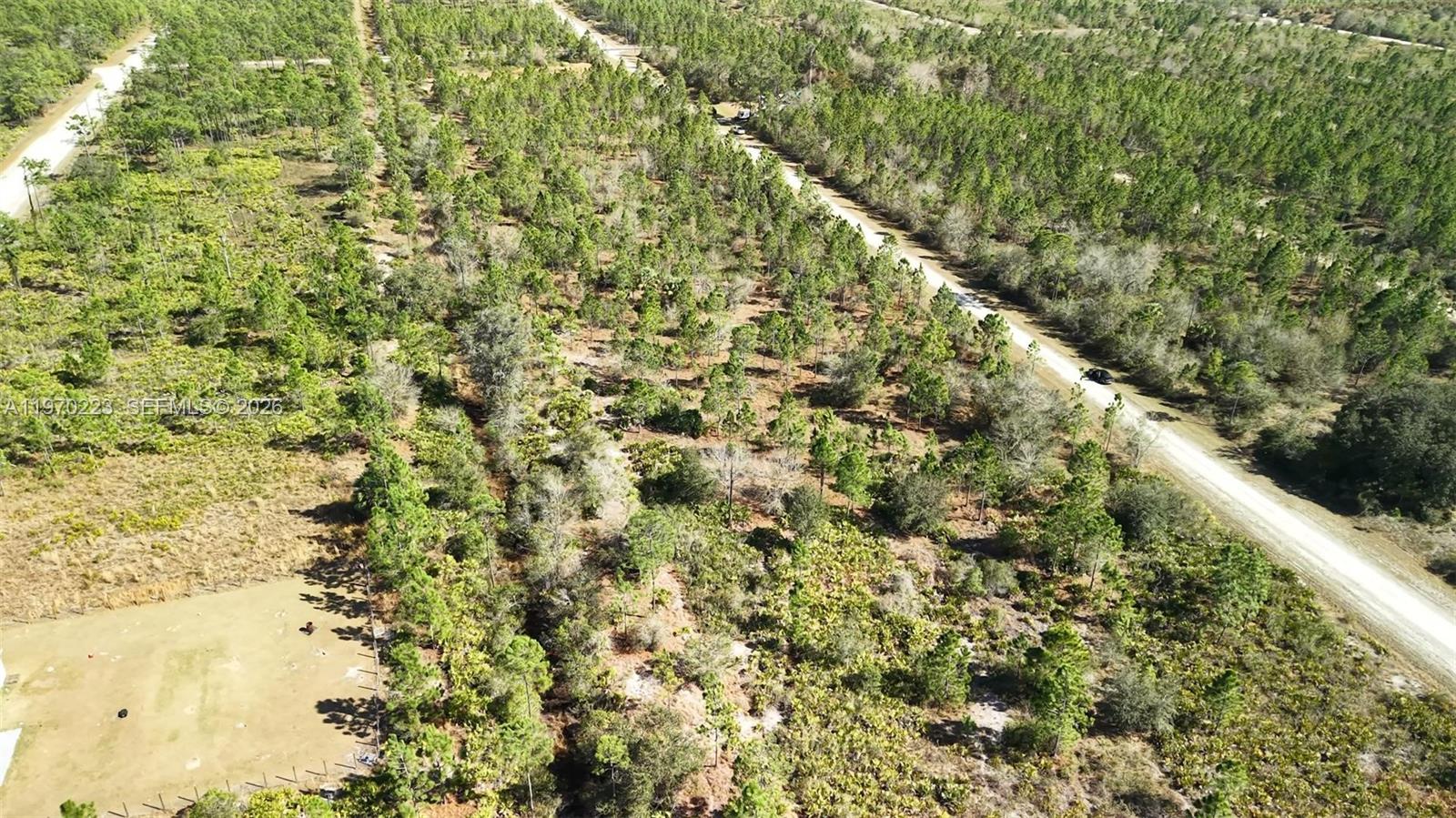 INDIAN LAKE ESTATES - Land