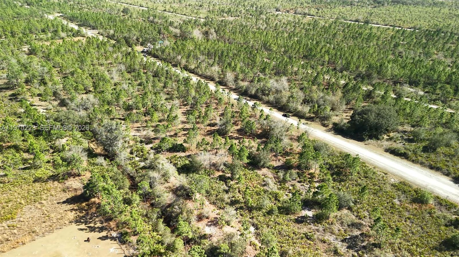 INDIAN LAKE ESTATES - Land