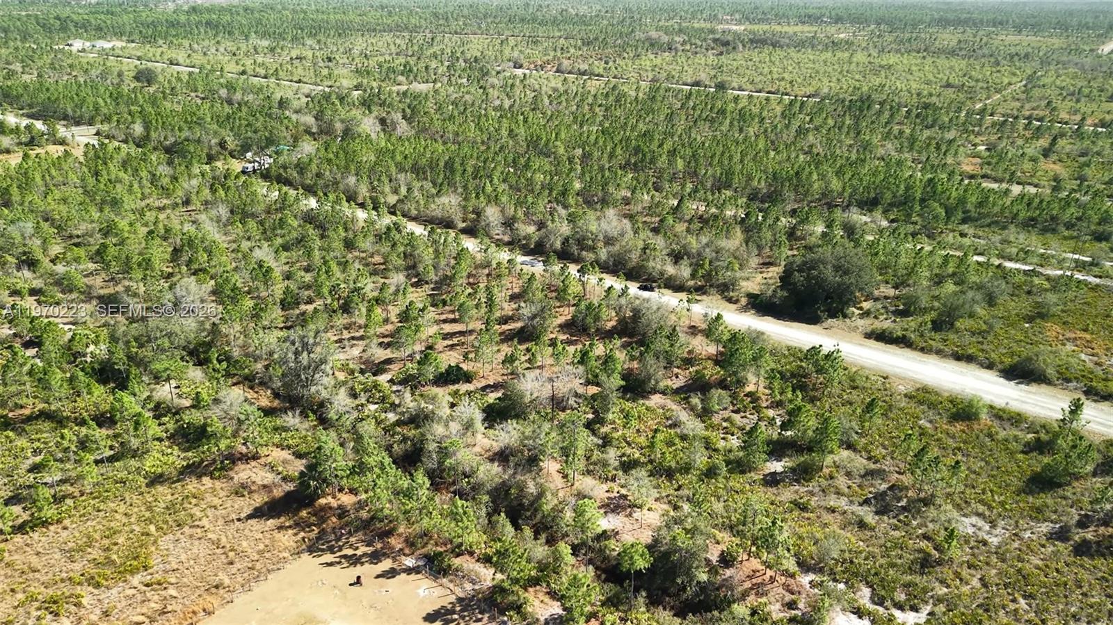 INDIAN LAKE ESTATES - Land