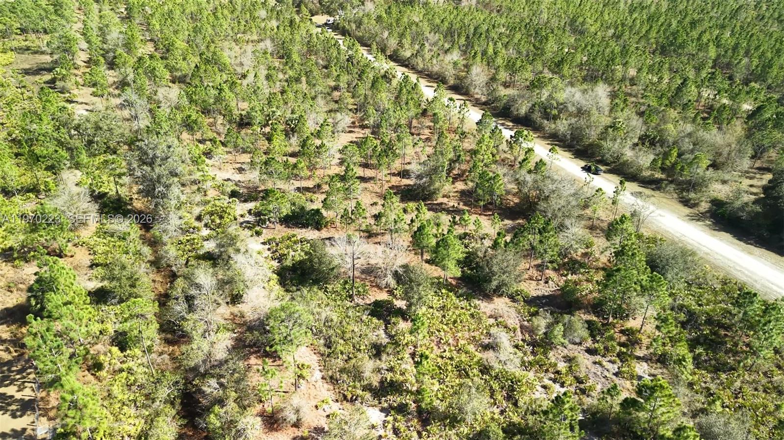 INDIAN LAKE ESTATES - Land