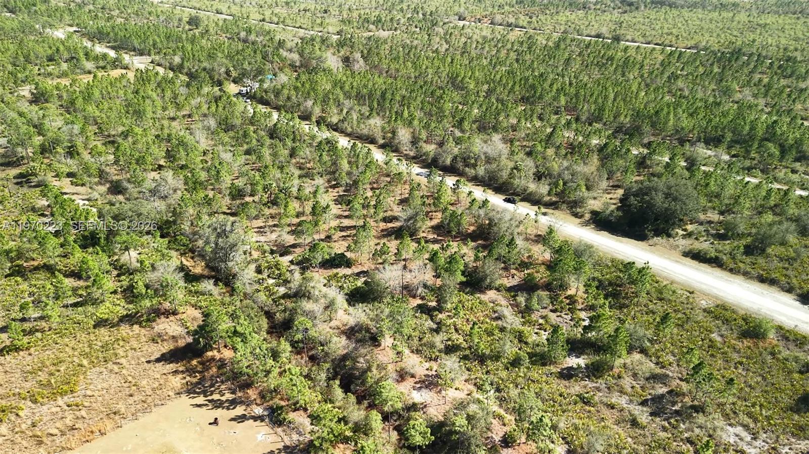 INDIAN LAKE ESTATES - Land