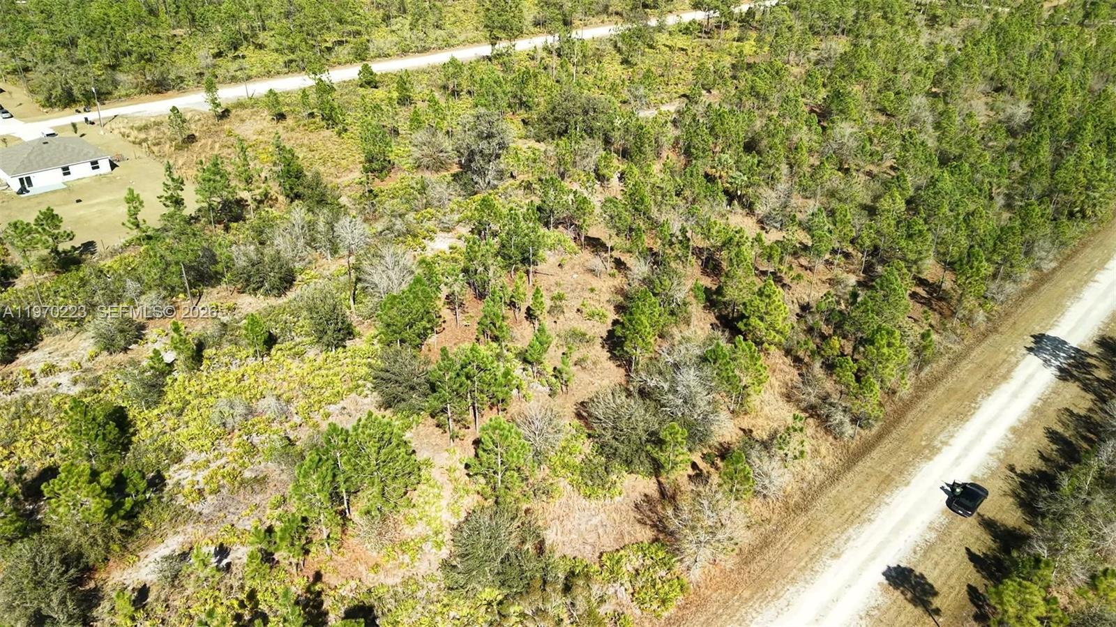 INDIAN LAKE ESTATES - Land