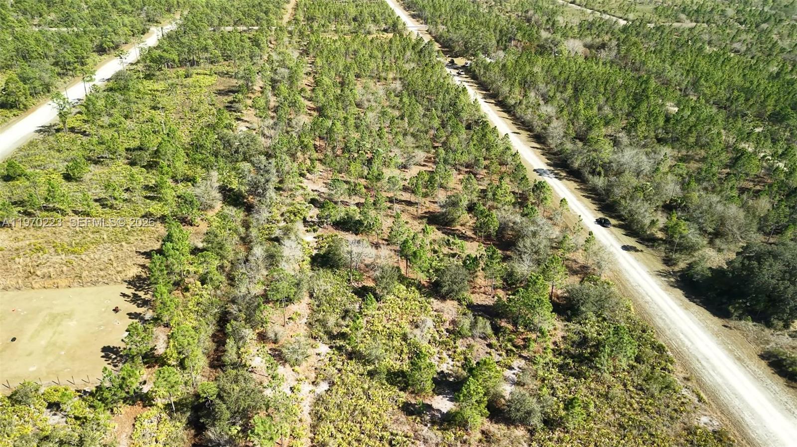 INDIAN LAKE ESTATES - Land