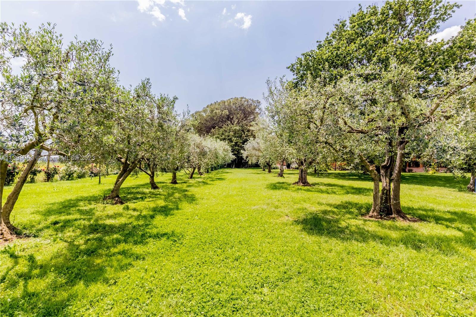 APPIA ANTICA - Residential