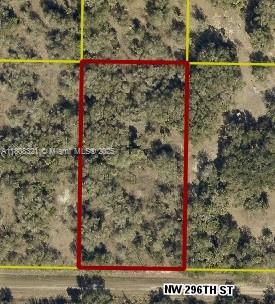 Seize the opportunity to own a piece of Florida in beautiful Okeechobee! You can make this sprawling 1.25 acre lot the site where your dream home becomes reality! Or you may want to consider building a second home for weekend and summer getaways with the family and loved ones. Outdoor enthusiasts can explore nature at Kissimmee Prairie Preserve State Park just miles away in addition to the Kissimmee River. Fishing and Hunting experiences are available in the surrounding area for your enjoyment as well. The opportunities are plenty and the possibilities are endless!