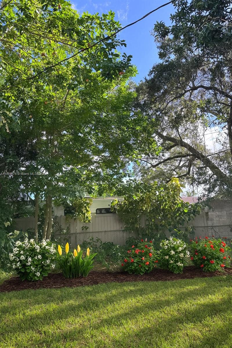 THE TROPICS AMD - Residential