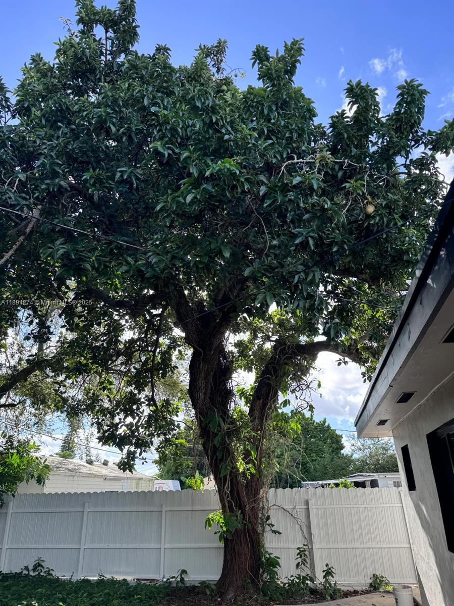 THE TROPICS AMD - Residential