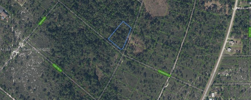 OWNER WILL FINANCE!!! Huge over 1.2 Acre lot! (53,700 Sq. Ft.) Beautiful huge corner lot in a rural area of Highland Park Estate. If you want to build your dream home among nature rather that neighbors this is the spot for you. Yet only a 7 minute drive from town! Lake Istokpoga a 27,000 acre lake renown for bass fishing is nearby ..the Windy Point Boat ramp is just down the road. Along with the Highlands Est. Community Park. OWNER WILL FINANCE!!! $5,000 DOWN $394.04 PER MONTH FOR 60 MONTHS AT 7% INTREST.