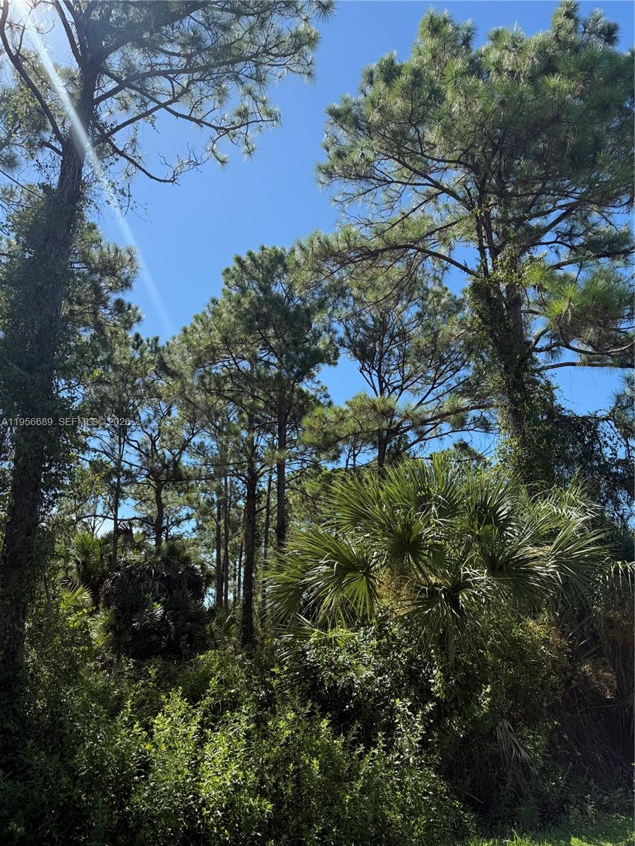 MONTURA RANCH ESTATES - Land