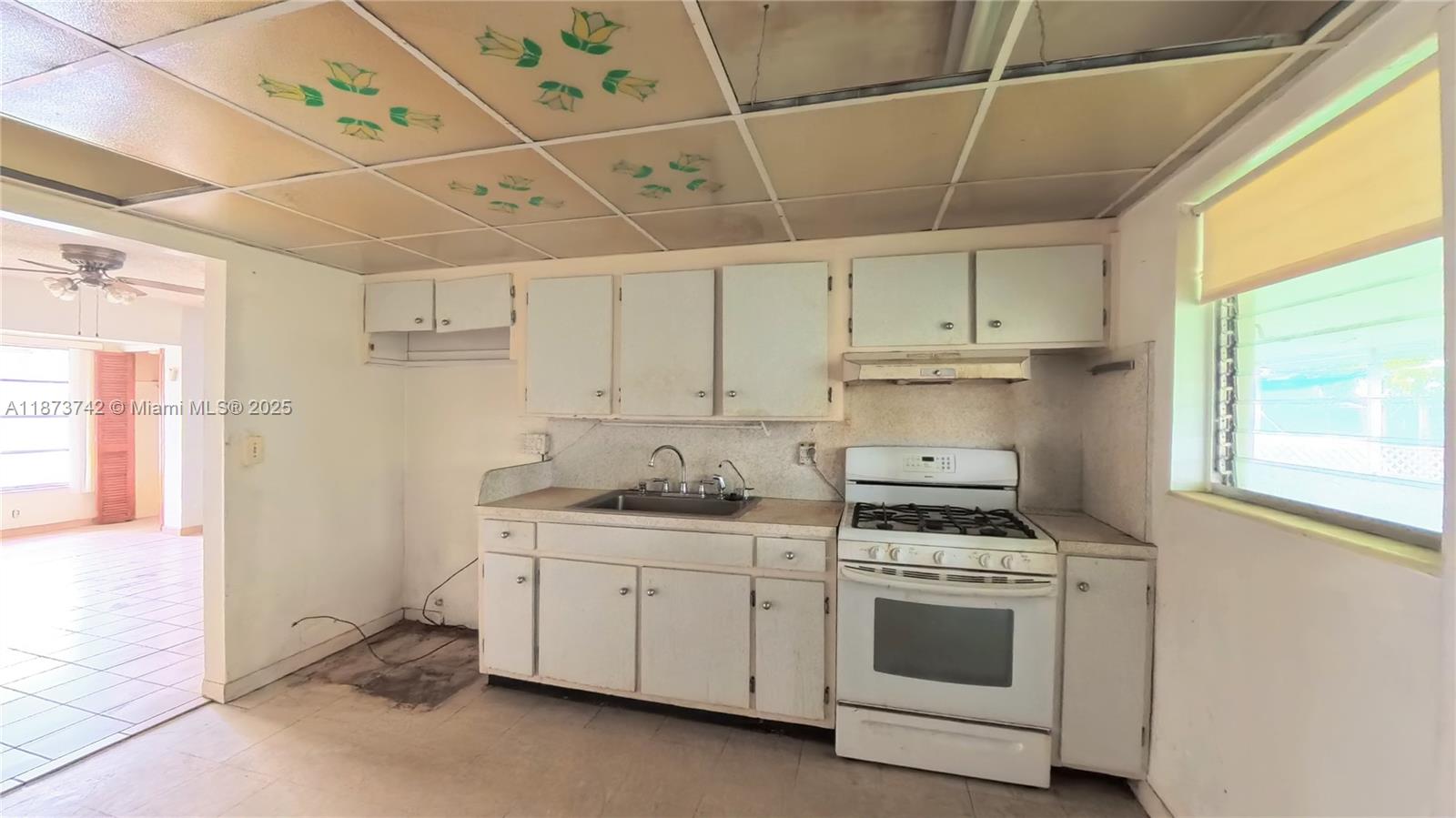 NORTH ANDREWS TERRACE FIR - Residential