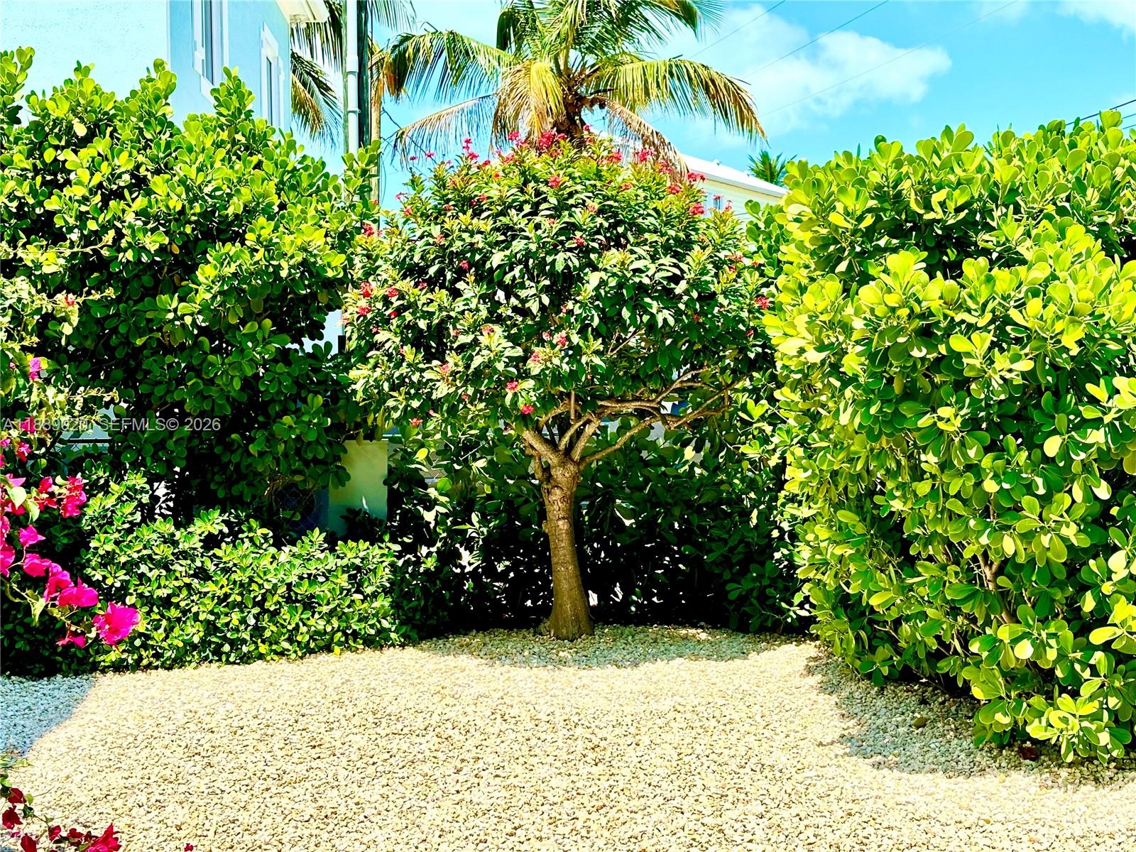 VACATION VILLAGE AMD & EX - Residential