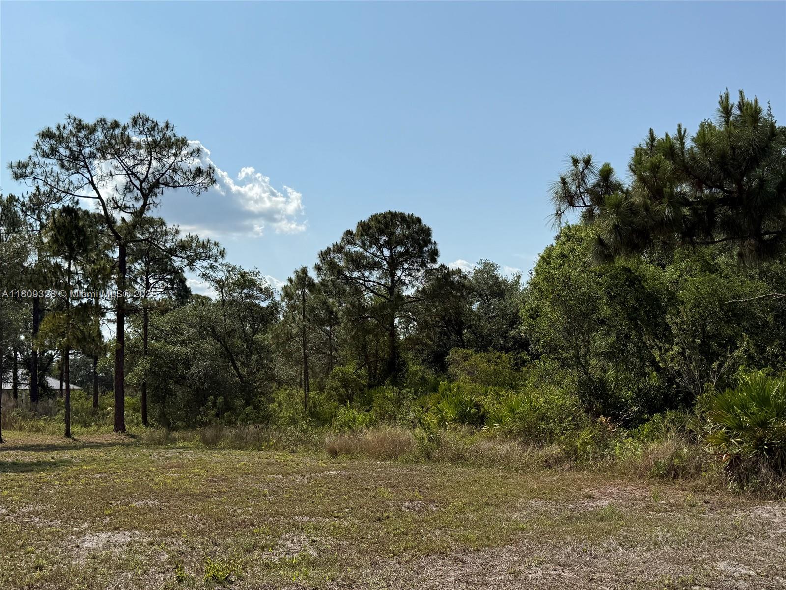 1.25 ACRES AT THE NORTH OF MONTURA RANCH ESTATES, BALD CYPRESS AND ZAMBRIA! GREAT LOCATION YOU CAN DECIDE THE TREES YOU WANT IT!!! PRICE TO SELL FAST!! BEST OPTION IN THE MARKET! NO WETLAND! GREAT INVESTMENT OPPORTUNITY! YOU CAN BUILD YOUR DREAM HOUSE OR INSTALL YOUR MOBILE HOME ENDLESS POSSIBILITIES!!! YOU CAN HAVE YOUR WEEKEND GETAWAY FROM THE CITY, JUST 65 MILES FROM WESTON, 90 MILES FROM MIAMI, YOU CAN HAVE YOUR FARM ANIMALS AND ENJOY THE CAMP STYLE OF MONTURA RANCH ESTATE YOU CAN GO DIRECTLY TO THE PROPERTY AND CALL ME OR TEXT ME IF YOU NEED ANY EXTRA INFORMATION