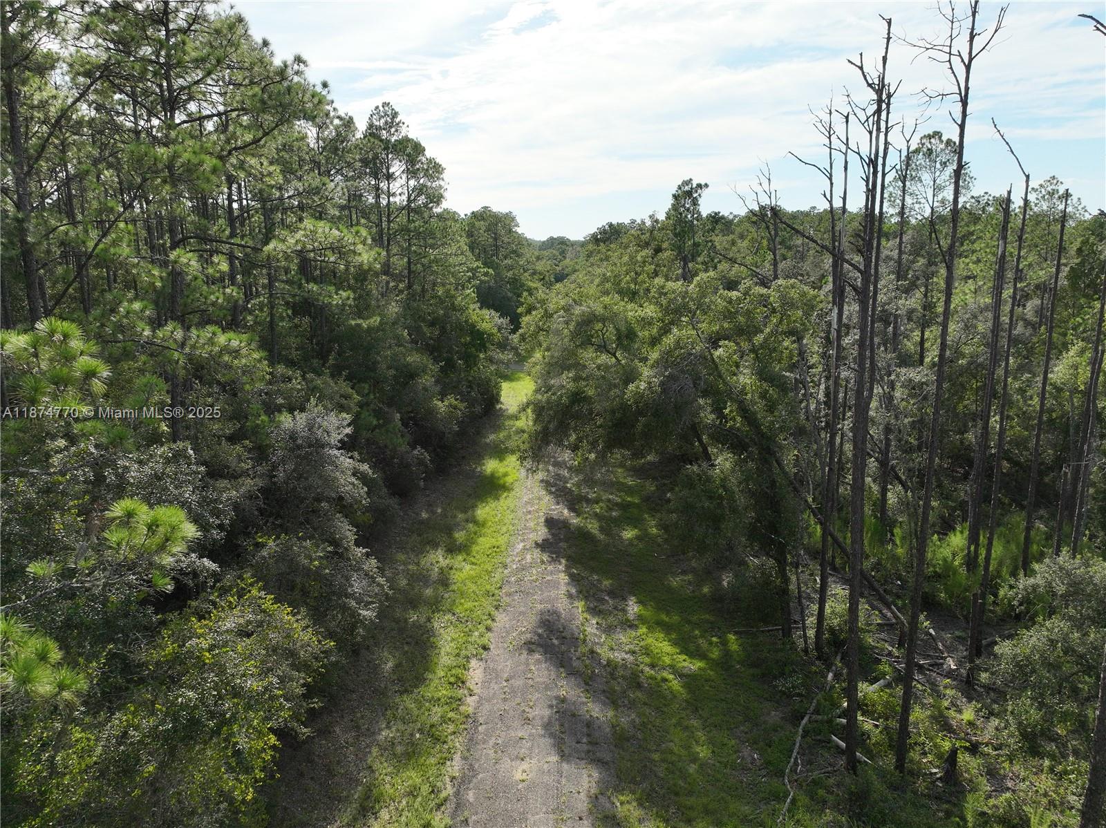 CITRUS SPRINGS - Land