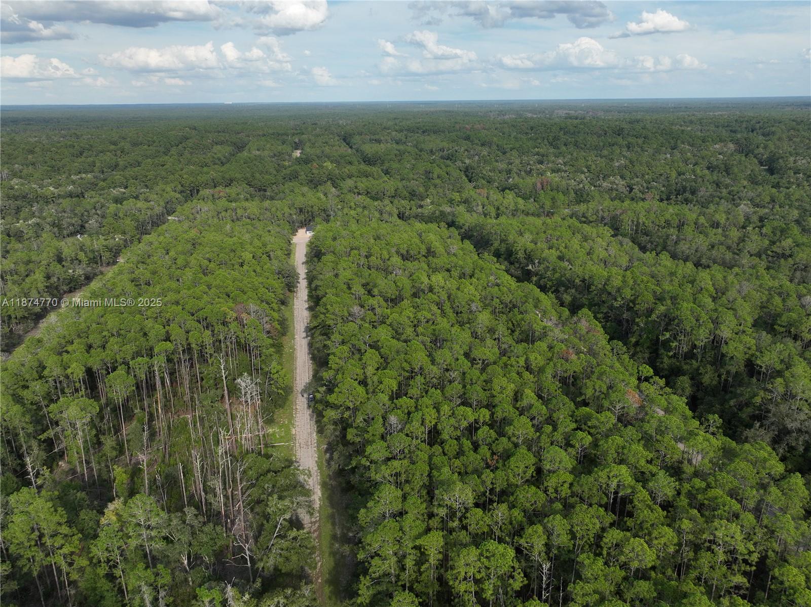 CITRUS SPRINGS - Land