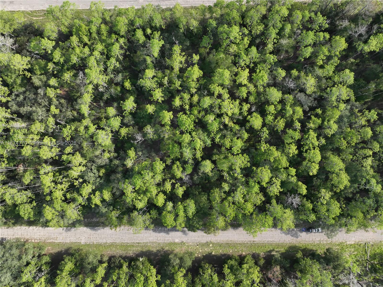 Exclusively presented by Sunland Real Estate: Great opportunity to own 0.23 acres of vacant land at 598 E Marquette Ln. This property offers the perfect setting to build your future home in a peaceful neighborhood while still being close to shopping, dining, and outdoor recreation. Experience the charm of Dunnellon living, with easy access to the Rainbow River and nearby natural attractions.