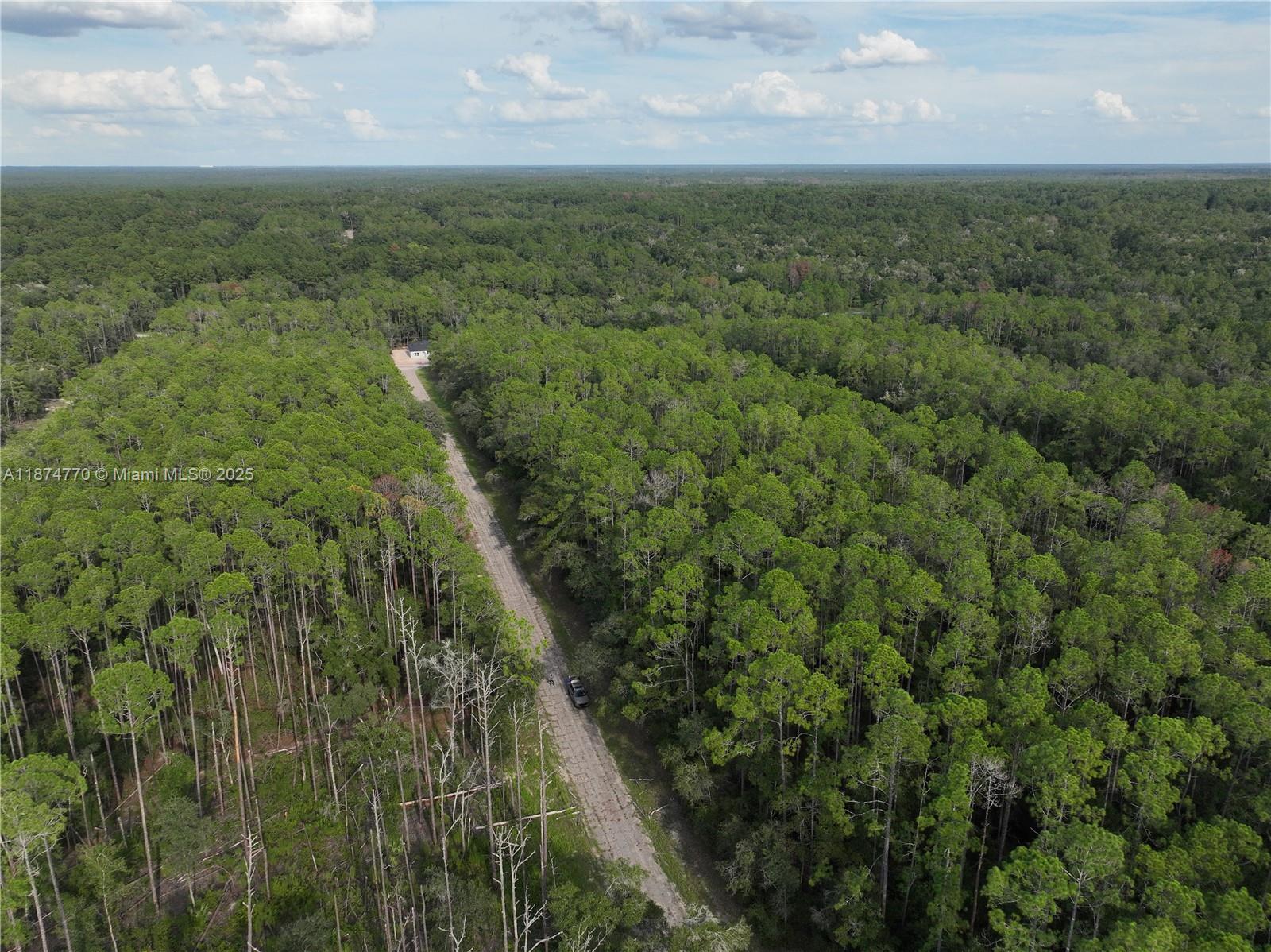 CITRUS SPRINGS - Land