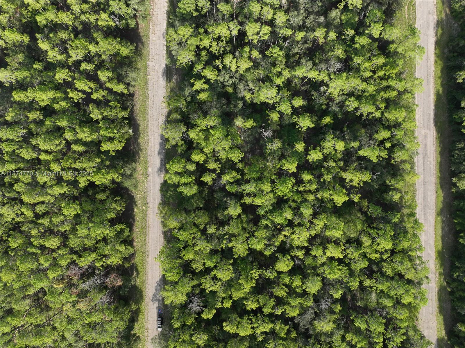 CITRUS SPRINGS - Land