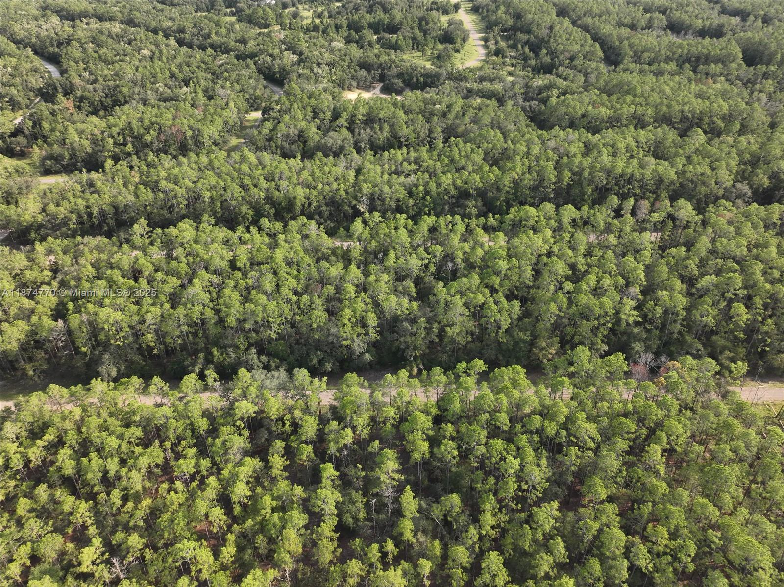 CITRUS SPRINGS - Land