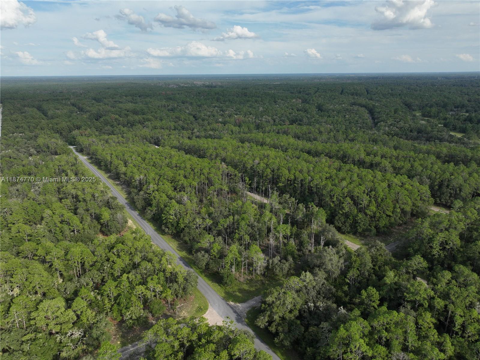 CITRUS SPRINGS - Land