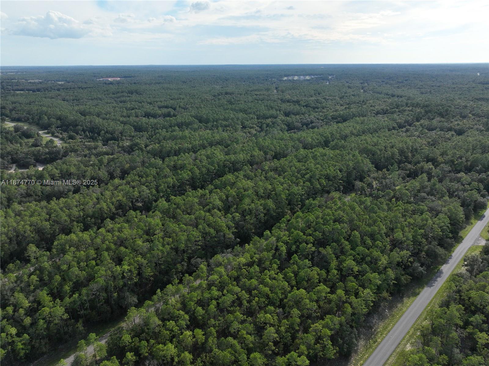 CITRUS SPRINGS - Land