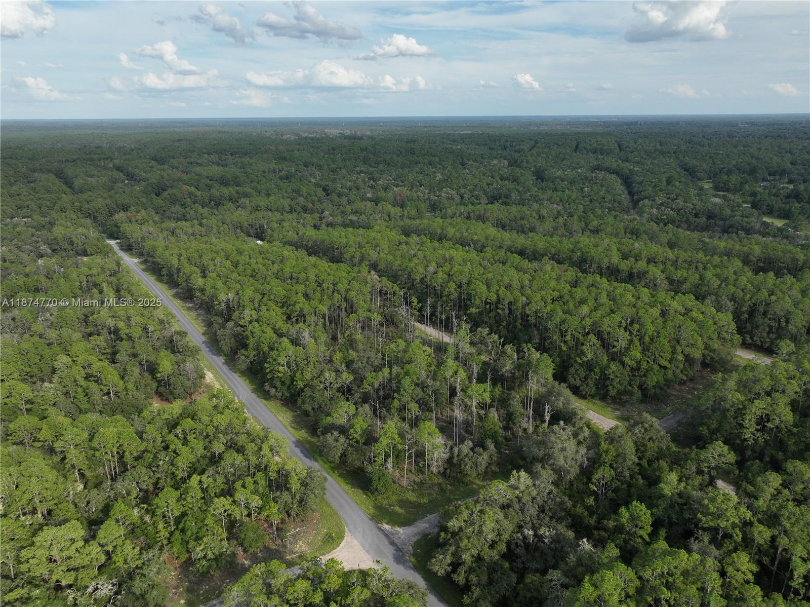 CITRUS SPRINGS - Land