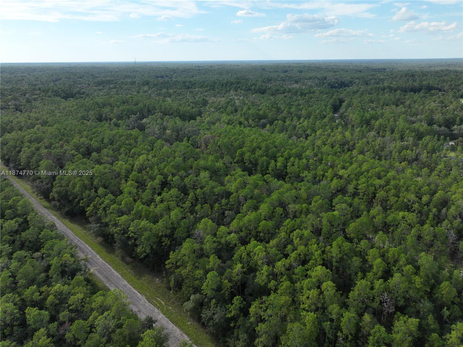 CITRUS SPRINGS - Land