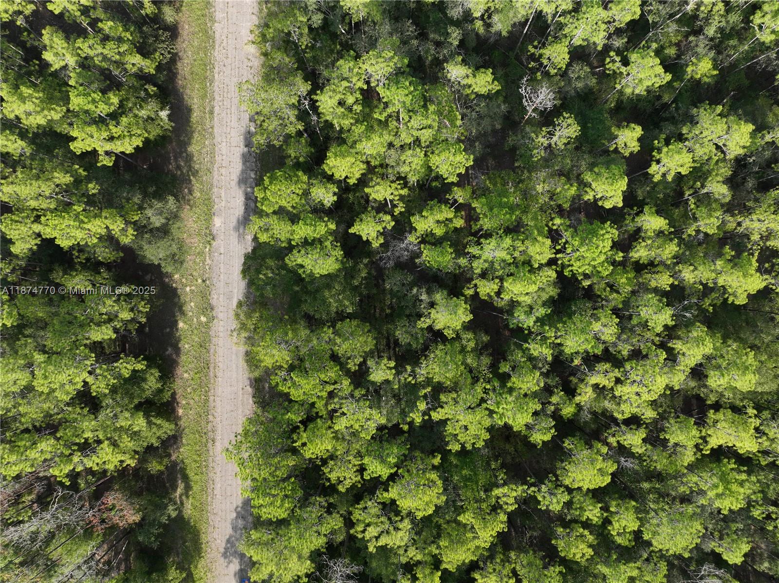 CITRUS SPRINGS - Land