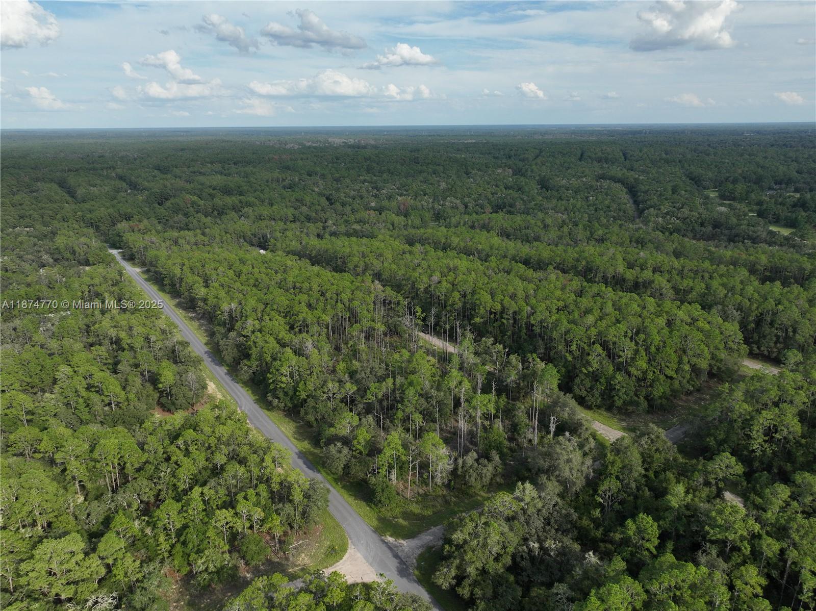 CITRUS SPRINGS - Land