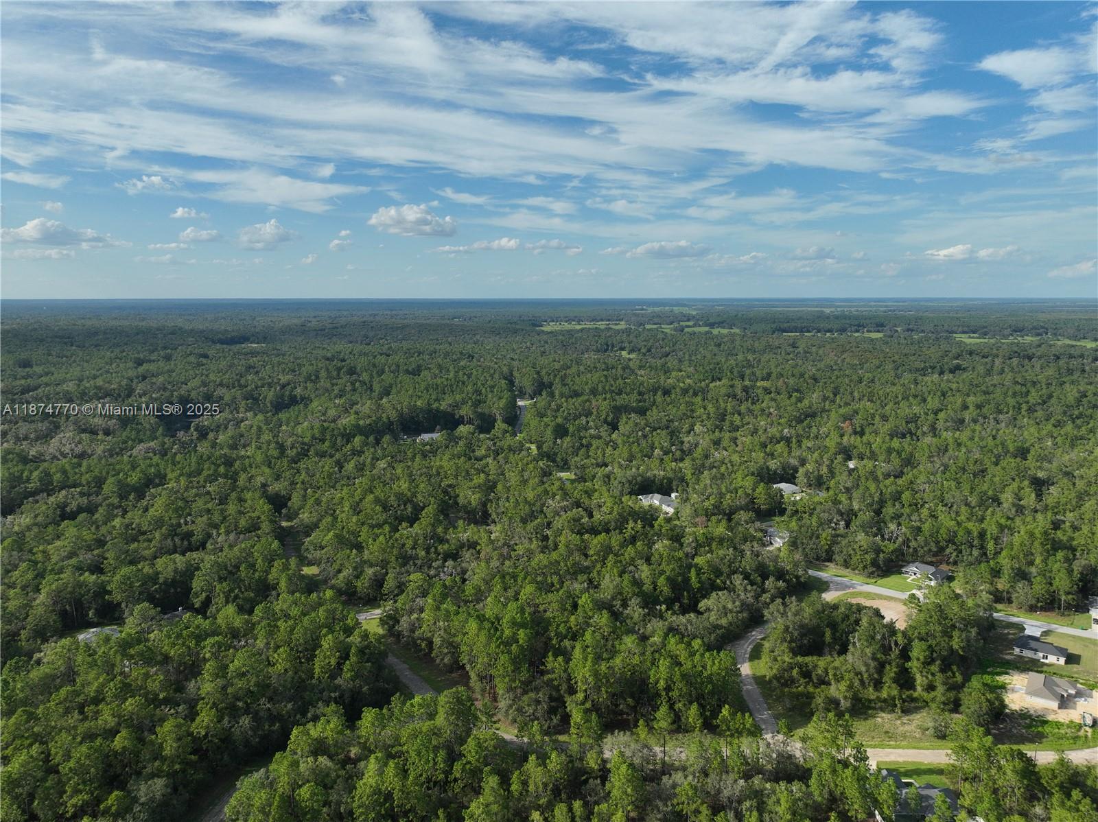 CITRUS SPRINGS - Land