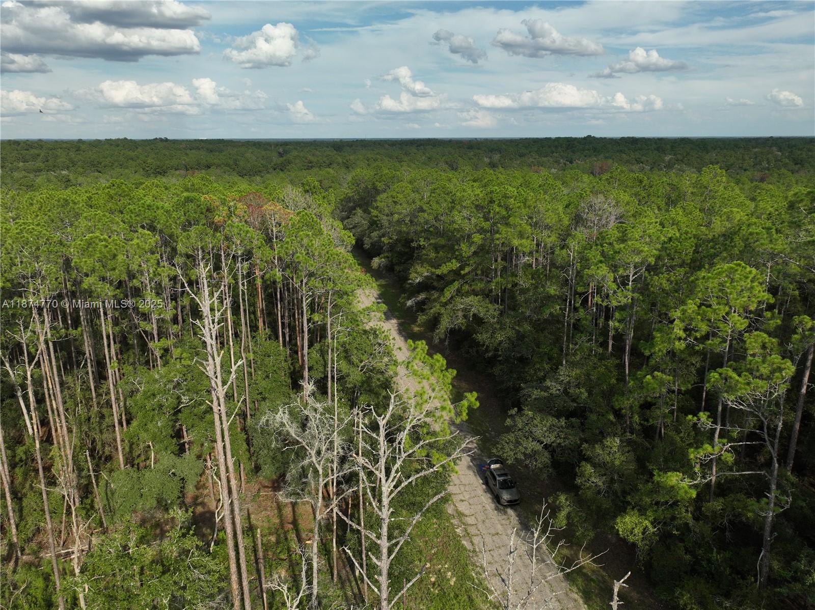 CITRUS SPRINGS - Land