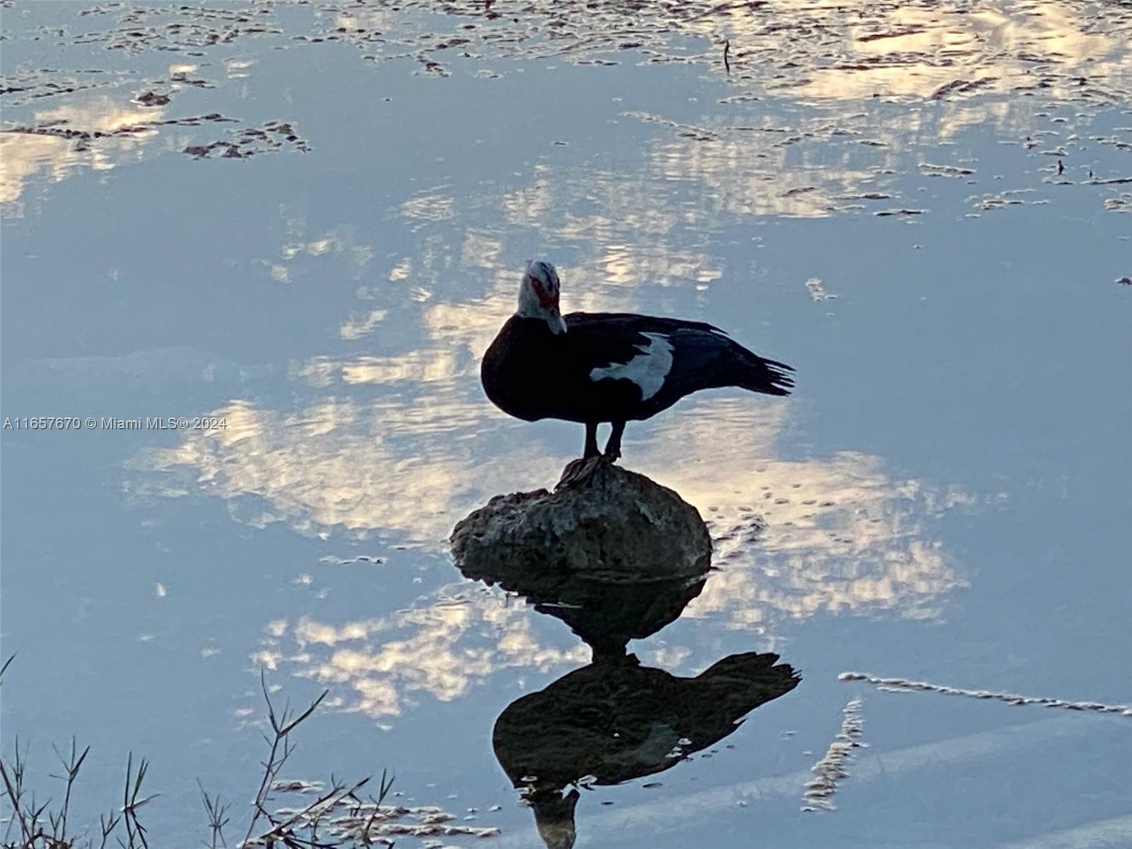 EVERGREEN LAKES CONDO - Residential