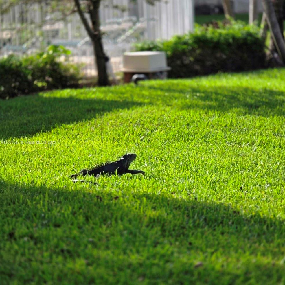 WHITEHALL CONDO AT CAMINO - Residential