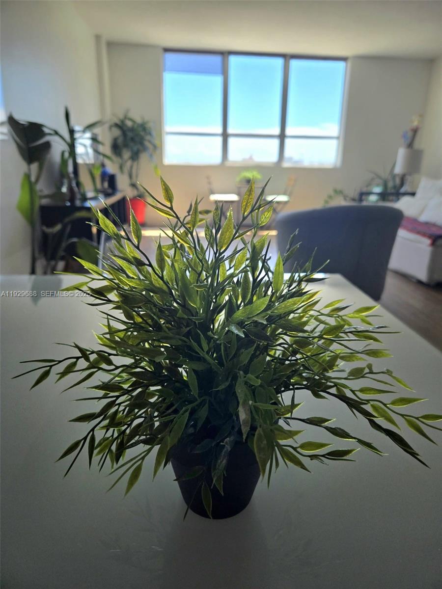 FLAMINGO SOUTH BEACH I CO - Residential Lease