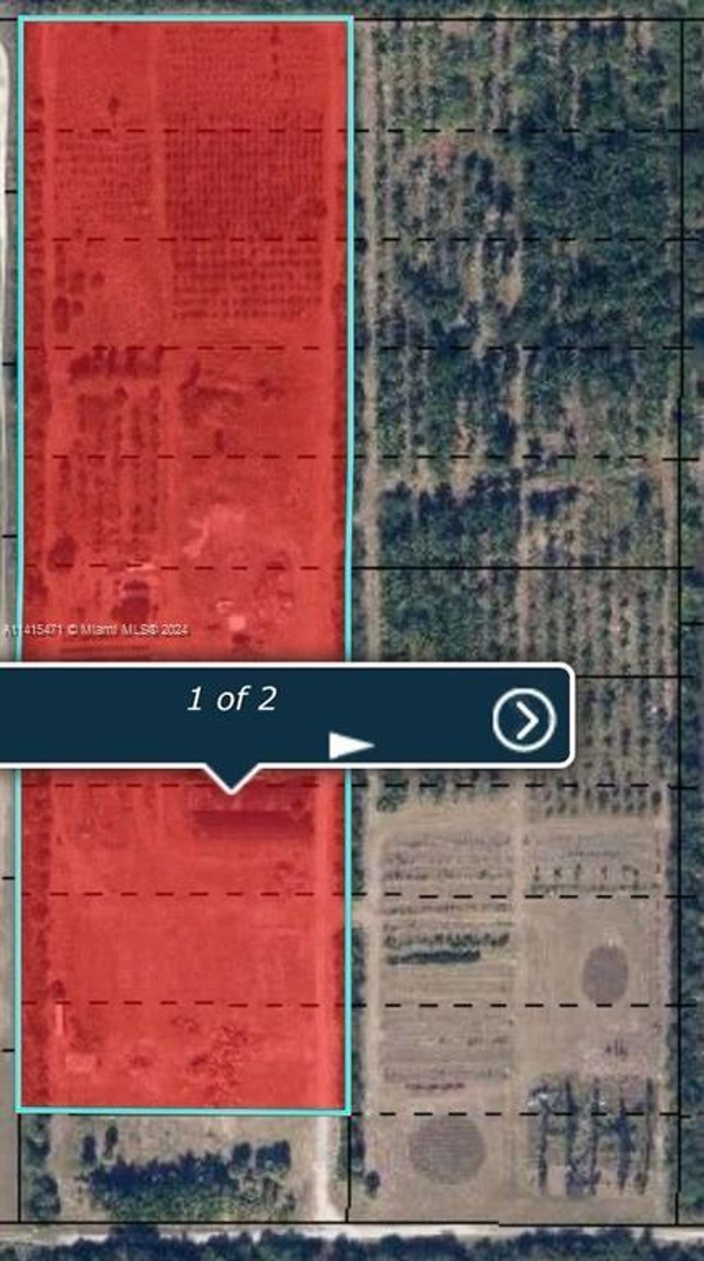 Photo of 23901 SW Cardamine Street, Indian Town, FL 34956 (MLS # A11415471)