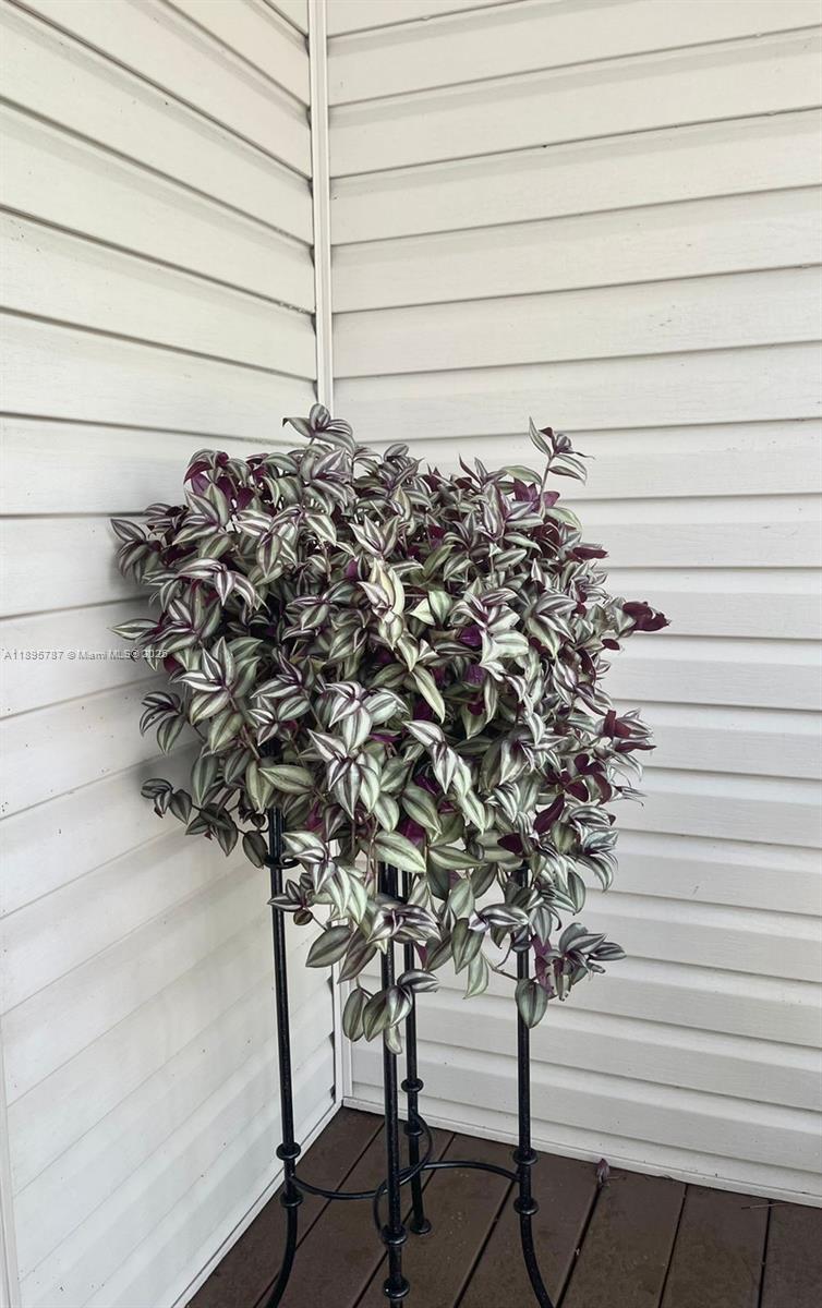 REGINA PALMS - Residential Lease