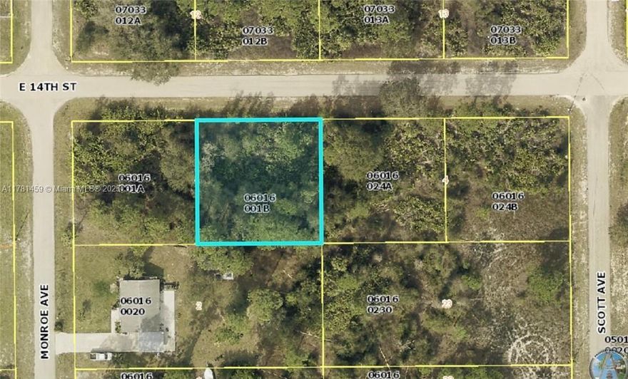 Build Your Dream Home in Lehigh Acres! This spacious vacant 1/4 acre lot is ready for you to build your custom single-family home in the growing community of Lehigh Acres! Enjoy peaceful surroundings, affordable living, and easy access to Fort Myers while being close to shopping, dining, parks, and top-rated schools. With plenty of new development in the area, this is the perfect opportunity to invest in Florida living! SELLER FINANCING AVAILABLE!!

The buyer’s agent or broker is required to be present at all showings, meetings, inspections, and appointments. Unaccompanied buyers will not be permitted access to the property.