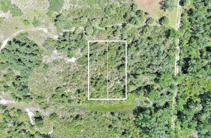 Exclusively presented by Sunland Real Estate: Opportunity to own this .23 acre vacant lot in the underdeveloped side of the Deep Creek community of Punta Gorda. This lot is at the end of the neighborhood, making it very private. Don’t miss the chance to secure private land.